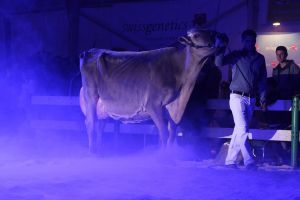 150410LUBRA15 158
